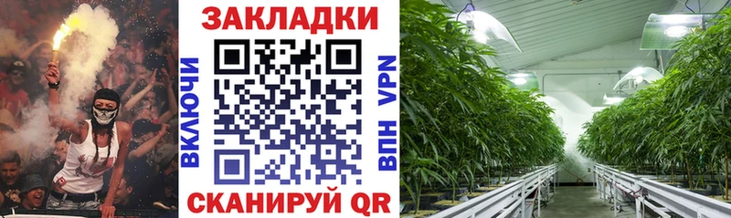 COCAIN Чистополь