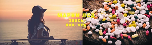 ГАЛЛЮЦИНОГЕННЫЕ ГРИБЫ Коряжма