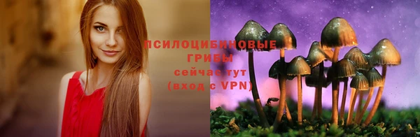 ГАЛЛЮЦИНОГЕННЫЕ ГРИБЫ Коряжма