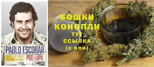 молекула духа Корсаков