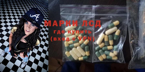 ГАЛЛЮЦИНОГЕННЫЕ ГРИБЫ Коряжма