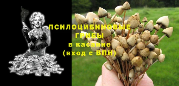 ГАЛЛЮЦИНОГЕННЫЕ ГРИБЫ Коряжма