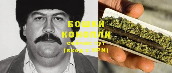 ГАЛЛЮЦИНОГЕННЫЕ ГРИБЫ Коряжма