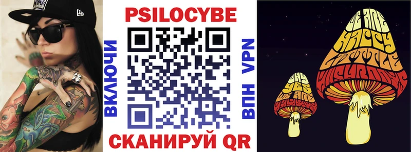 Купить закладки  Чистополь  Галлюциногенные грибы мухоморы 